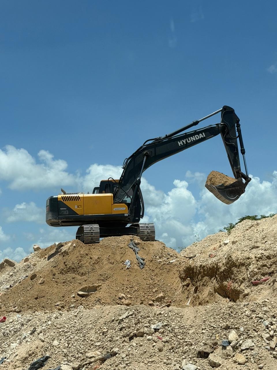 Excavadora Hyundai en obra